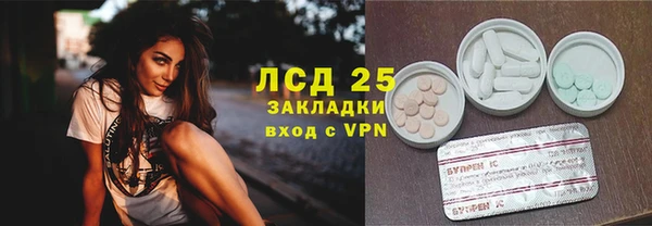 стаф Волоколамск