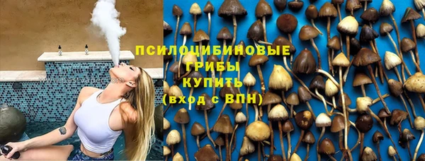 стаф Волоколамск